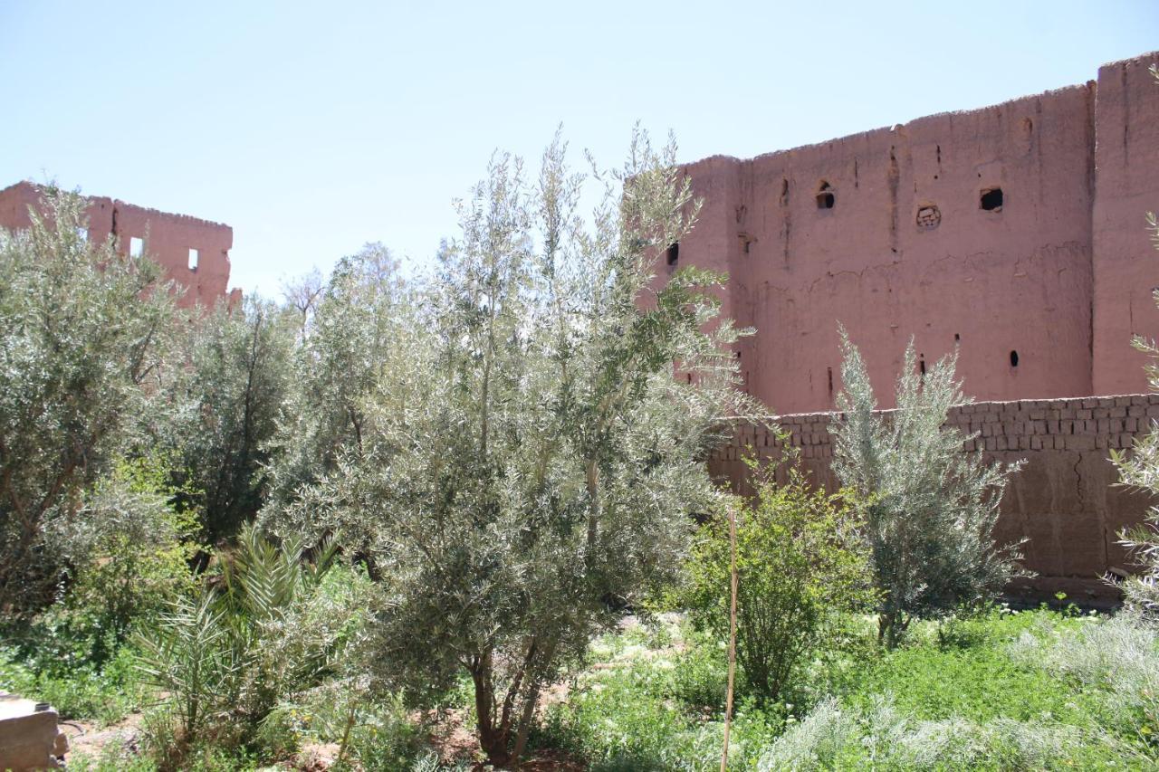 Gite Ait Lmaalam Chez Ahmed Skoura Exteriér fotografie
