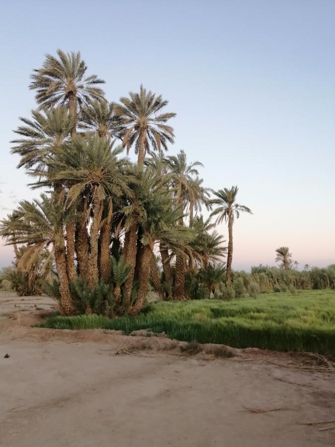 Gite Ait Lmaalam Chez Ahmed Skoura Exteriér fotografie